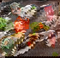 Toshi's Japanese Restaurant - Accommodation Ballina