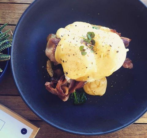 Raita Noda Chef's Kitchen - Accommodation Ballina 5