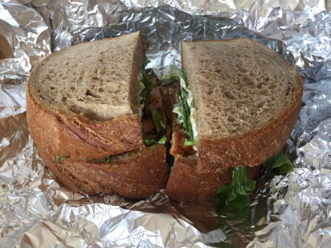 North Sandwiches - Accommodation Ballina 0