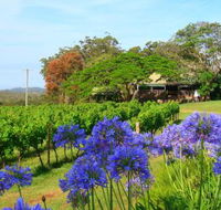 Little Fish Cafe - Accommodation Ballina
