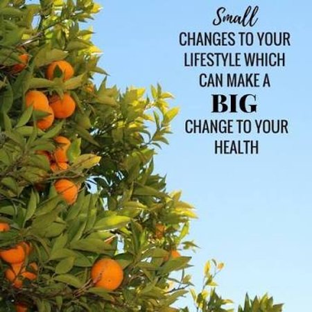 Nelson Bay Health Foods - Accommodation Ballina 0