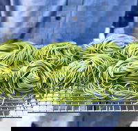 Young Barons - Accommodation Ballina