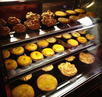 Fredo Pies - Accommodation Ballina