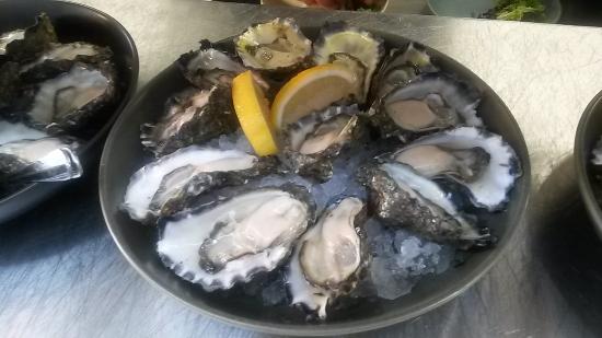 Tuncurry NSW Accommodation Ballina