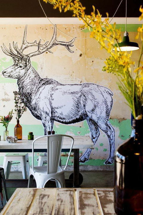 Elk Espresso - Accommodation Ballina 0