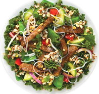 Sumo Salad - Chippendale - Accommodation Ballina