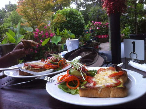 Wyee Nursery Cafe - Accommodation Ballina 0