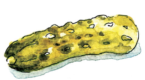 Gherkin Garden By Bethany Wines - Accommodation Ballina 1