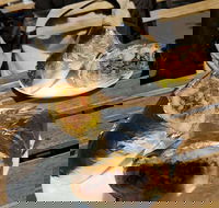 Perso - Accommodation Ballina