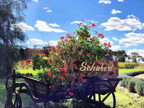 Schubert Estate - Accommodation Ballina 2