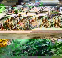 Salud Expresso Bar - Accommodation Ballina