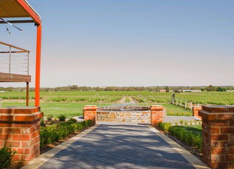 Calabria Family Wines Barossa - Accommodation Ballina 2