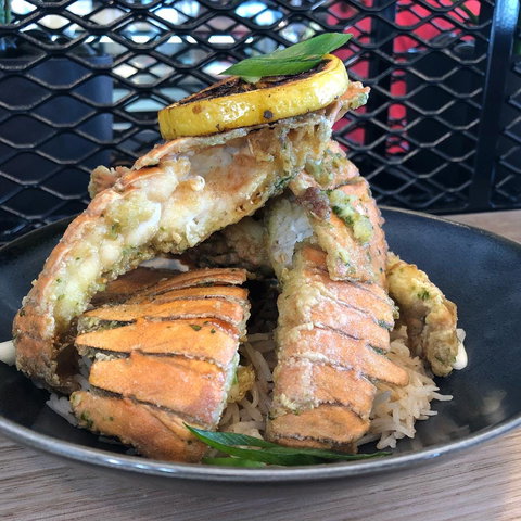 The Fish House - Accommodation Ballina 0