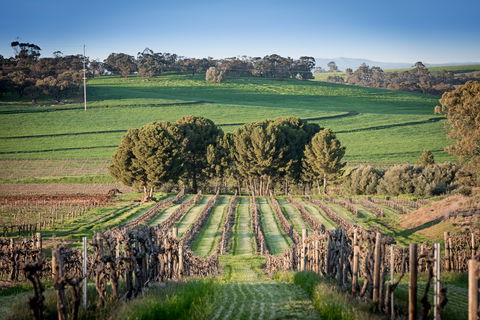 Heritage Wines - Accommodation Ballina 0