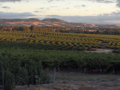 Heritage Wines - Accommodation Ballina 2