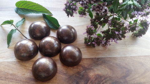 Platypi Chocolate - Accommodation Ballina 1