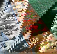 Balter Brewing Company - Accommodation Ballina