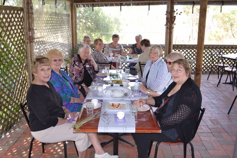 Lyndoch Lavender Farm Cafe - Accommodation Ballina 0