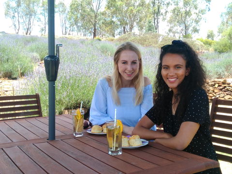 Lyndoch Lavender Farm Cafe - Accommodation Ballina 1
