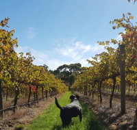 Ruddenklau Wines - Accommodation Ballina