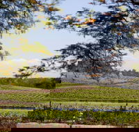 Wynwood Estate - Accommodation Ballina