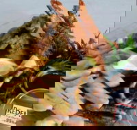 Redfish Fish Chips  Grill - Accommodation Ballina