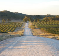 Stone Bridge Wines - Accommodation Ballina