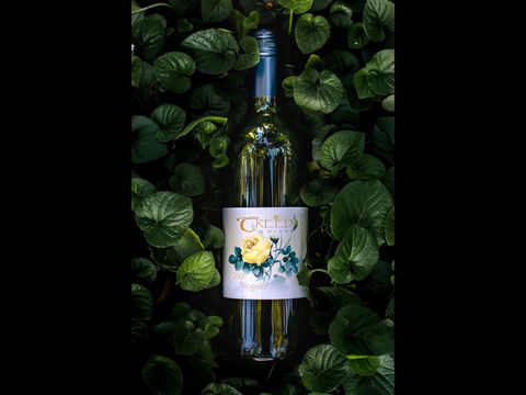 Barossa Chateau Cellar Door - Accommodation Ballina 2