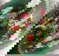 Tiggy - Accommodation Ballina