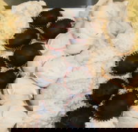 Uber Caf - Accommodation Ballina