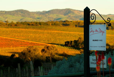 Seize The Day Wines - Accommodation Ballina 0