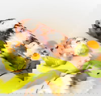 The Wild Herring - Accommodation Ballina