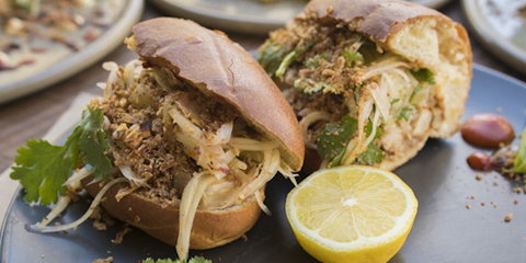 Mr Tuppy - Accommodation Ballina 0