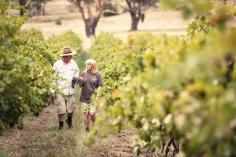 Lambert Estate Wines - Accommodation Ballina 2