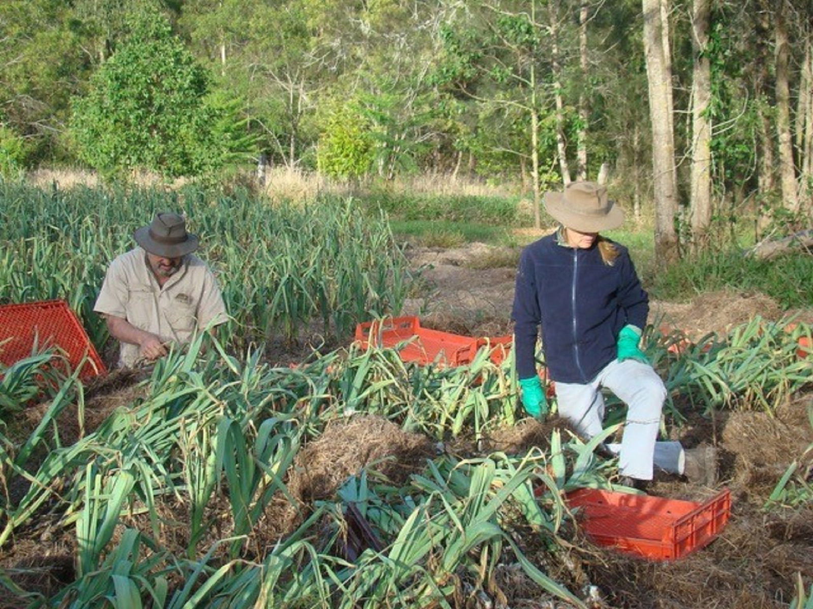 Verges Creek NSW Accommodation Ballina