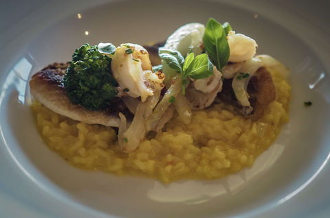 The Cowrie - Accommodation Ballina 0