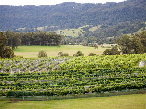 Silos Estate And Wileys Creek - Accommodation Ballina 1