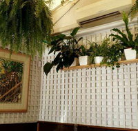 Plane Tree Cafe - Accommodation Ballina
