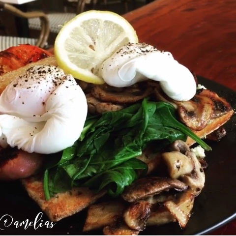 Amelia's Bakery - Accommodation Ballina 0