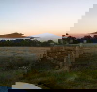 Mountainside Wines - Accommodation Ballina
