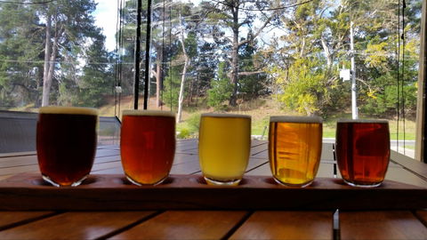 Cubby Haus Brewing - Brewery And Bar - Accommodation Ballina 1