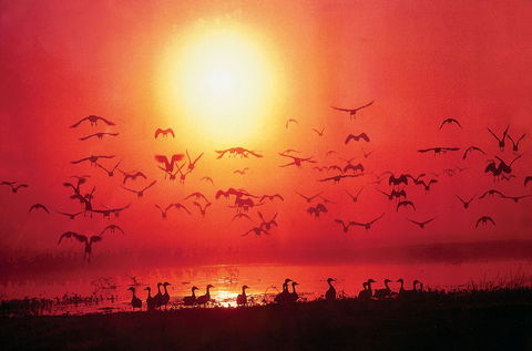 Exotic North Indian Cuisine - Accommodation Ballina 0