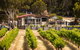 False Cape Wines Cellar Door - thumb 0