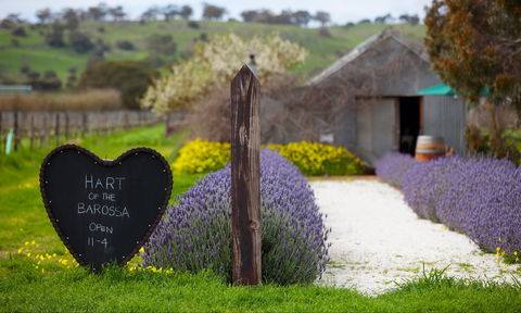 Hart Of The Barossa - Accommodation Ballina 0