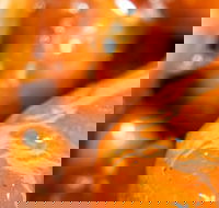 Morish Nuts - Accommodation Ballina