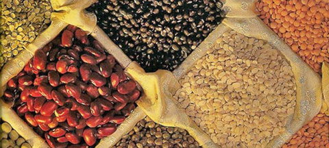 Namaste Indian Cuisine Young - Accommodation Ballina 1