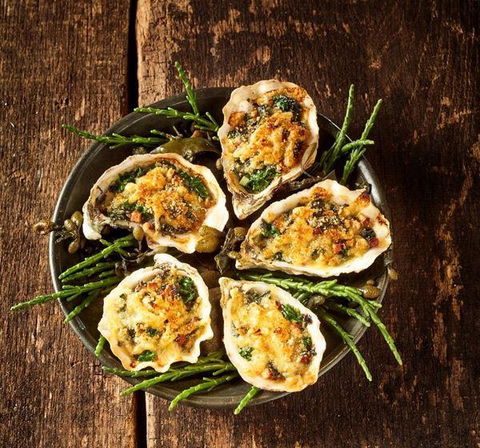 MIKA Airlie Beach - Accommodation Ballina 2