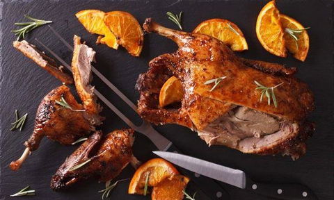 MIKA Airlie Beach - Accommodation Ballina 5