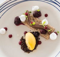Wild Herring - Accommodation Ballina