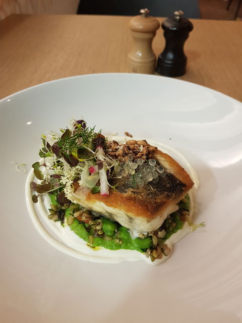 Lyrebird Restaurant - Accommodation Ballina 2
